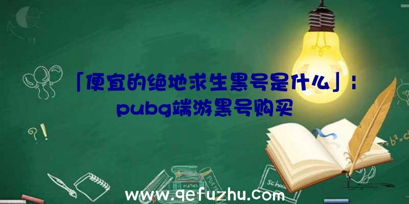 「便宜的绝地求生黑号是什么」|pubg端游黑号购买